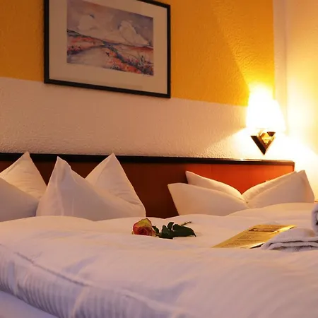 Hotel Steiger 3*