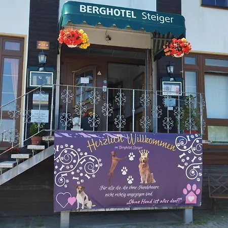 Steiger - Erzgebirge Шнеберг