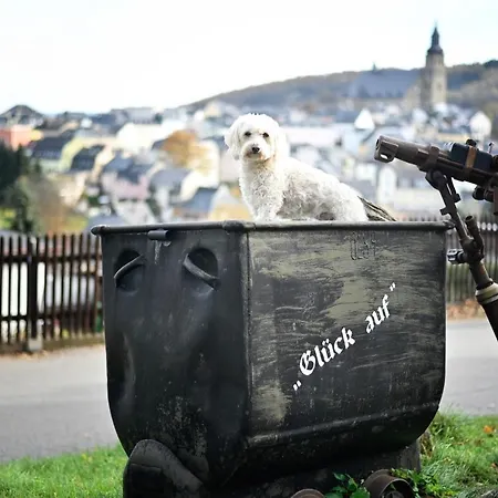 Otel Steiger Schneeberg (Saxony)