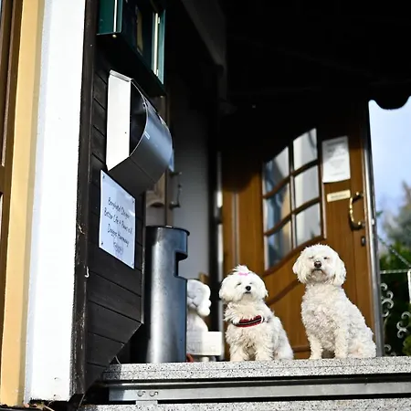 Otel Steiger Schneeberg (Saxony)