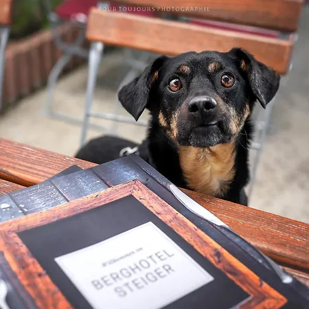 Steiger 3* Schneeberg (Saxony)