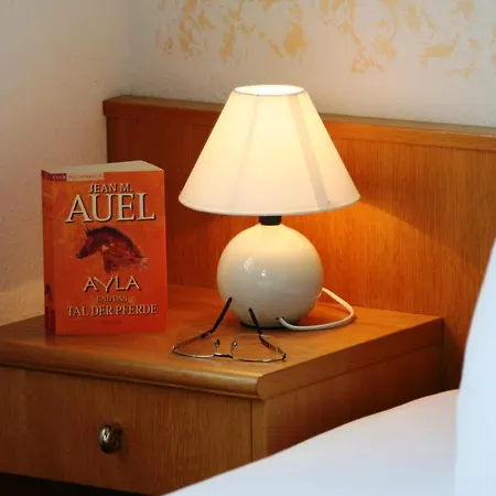 Hotel Steiger 3*