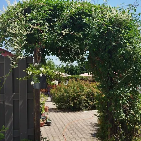 Steiger 3* Schneeberg (Saxony)