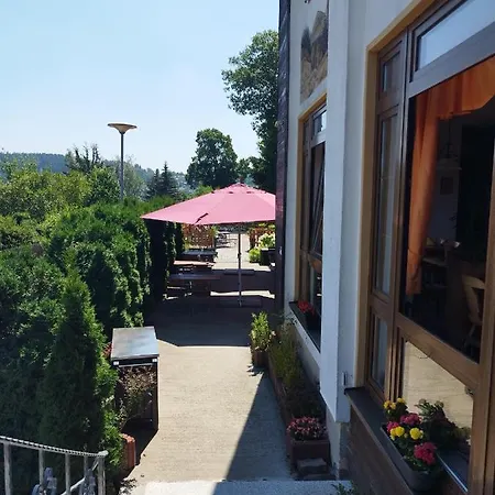 Steiger 3*