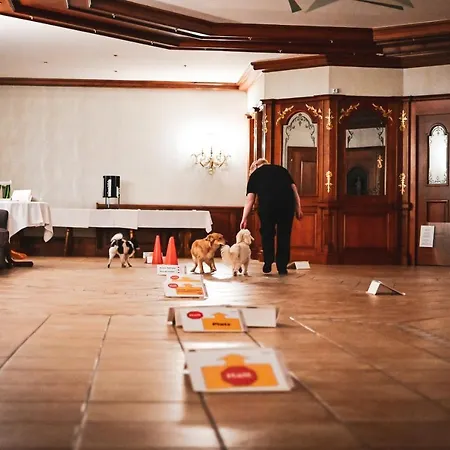 Hotel Steiger Schneeberg (Saxony)