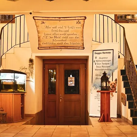 Steiger Schneeberg (Saxony)